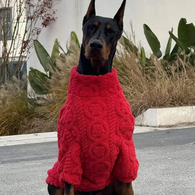 Vista lateral del suéter ajustado a un Doberman en paseo urbano