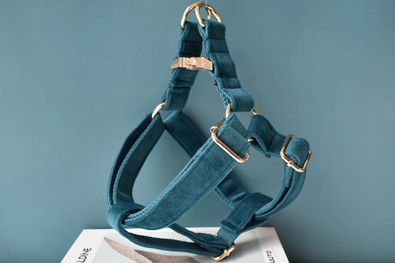 Collares para diferentes razas