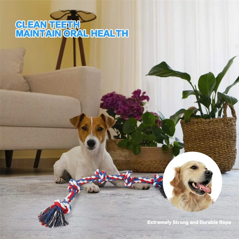 Perro jugando con la cuerda