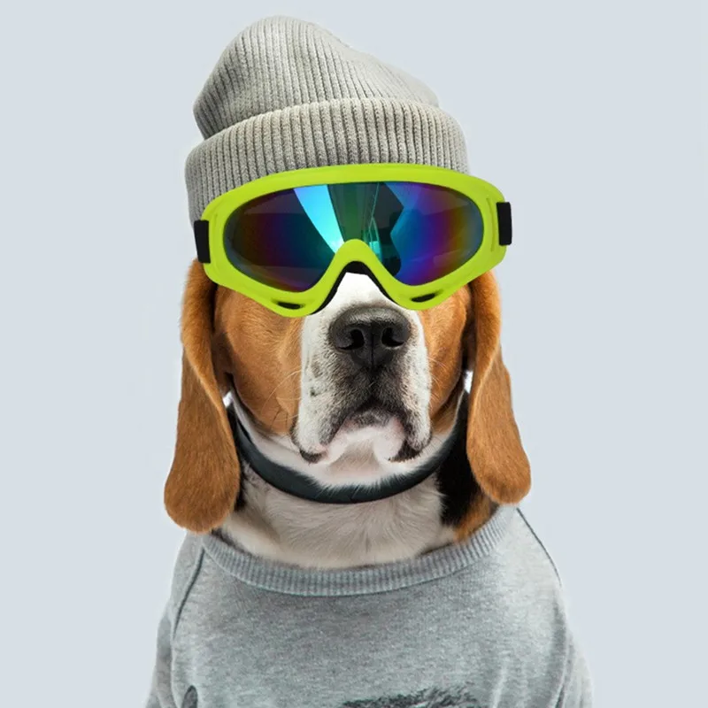 Detalle de las gafas de sol para perros