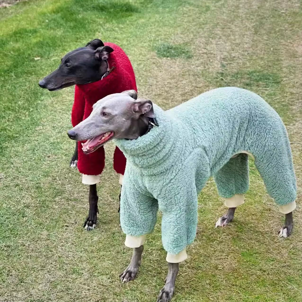 Sudadera de forro polar con 4 patas para galgos y whippets
