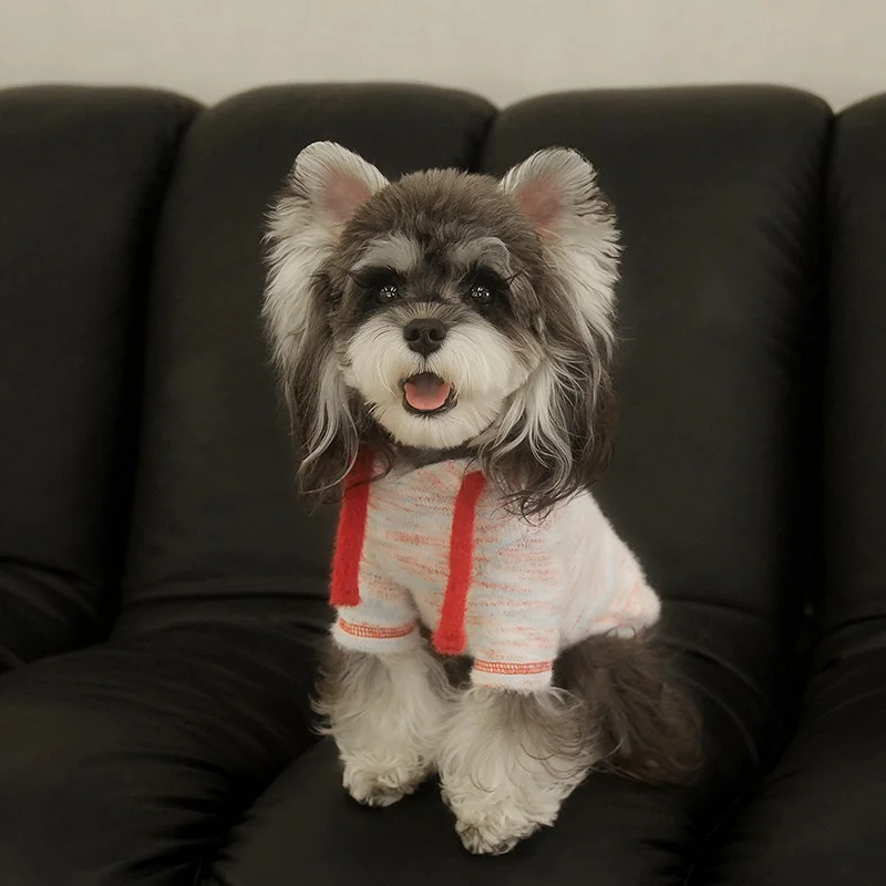 Primer plano de jersey canino