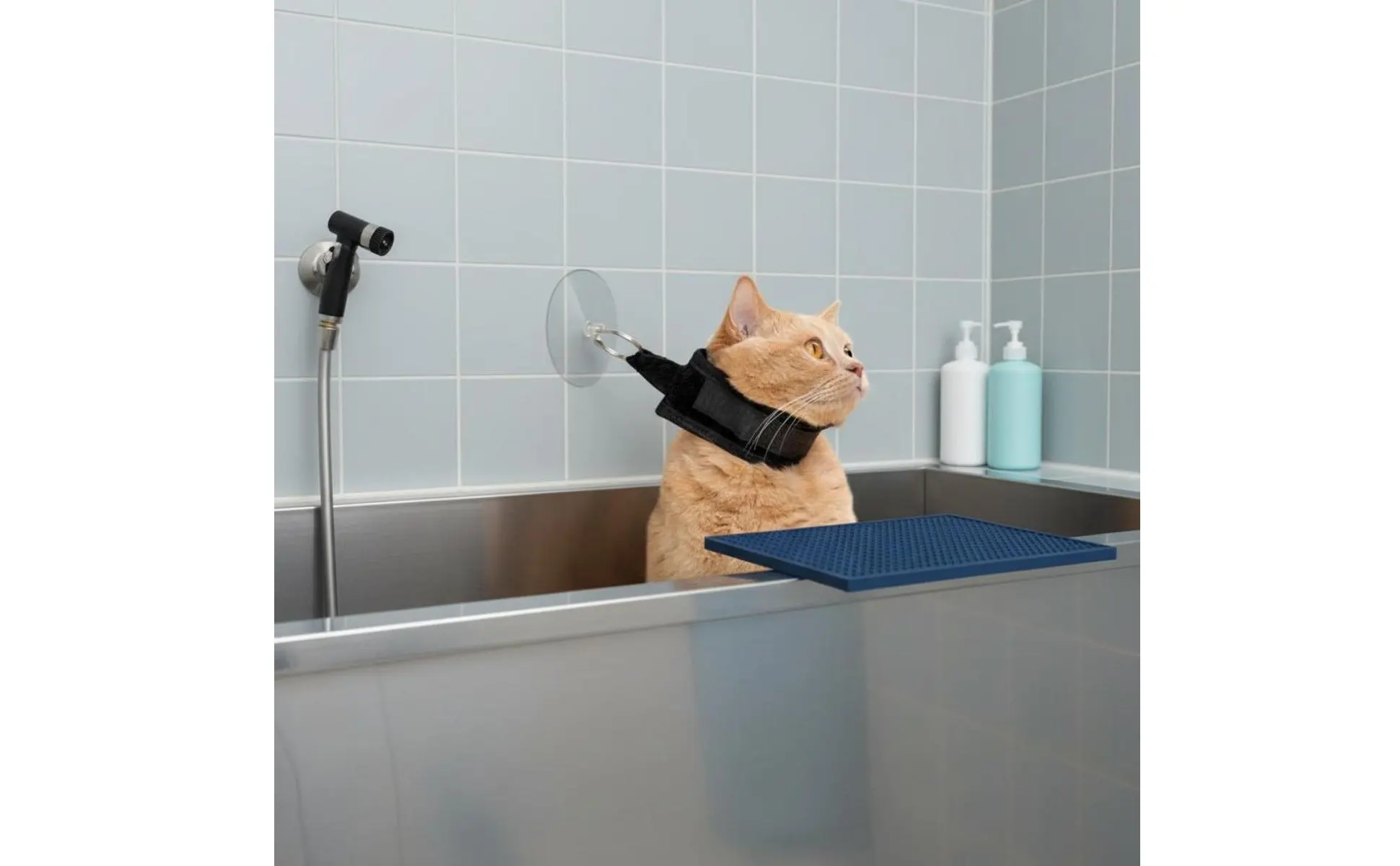 Soporte de succión para baño de mascotas