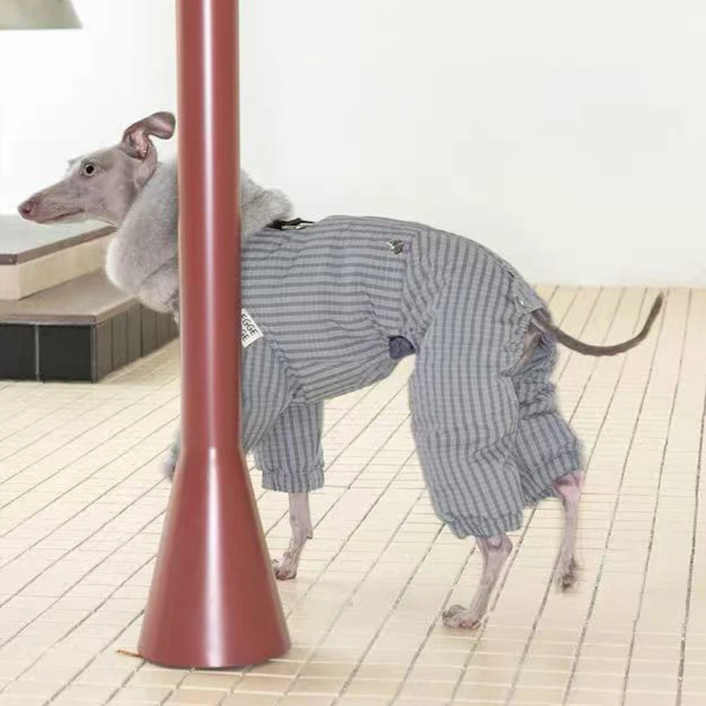 Abrigo de plumón puesto en un Whippet