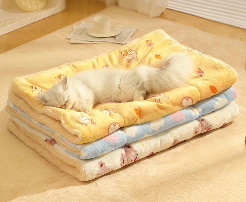 Manta de Lana para Mascotas - Vista principal con perro durmiendo