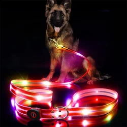 Correa para perro con luz LED USB recargable, ajustable