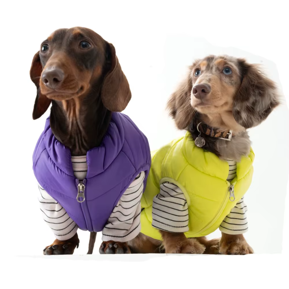 Chaqueta de invierno ligera para perros Dachshund, cortavientos cálido