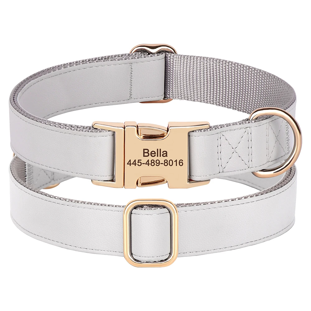 Mascota con collar Beirui