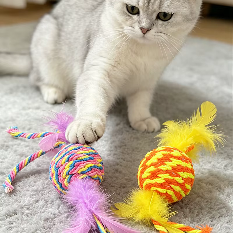 Pelota de plumas con campana para gatos – Juguete interactivo para morder y rascar - imagen 4