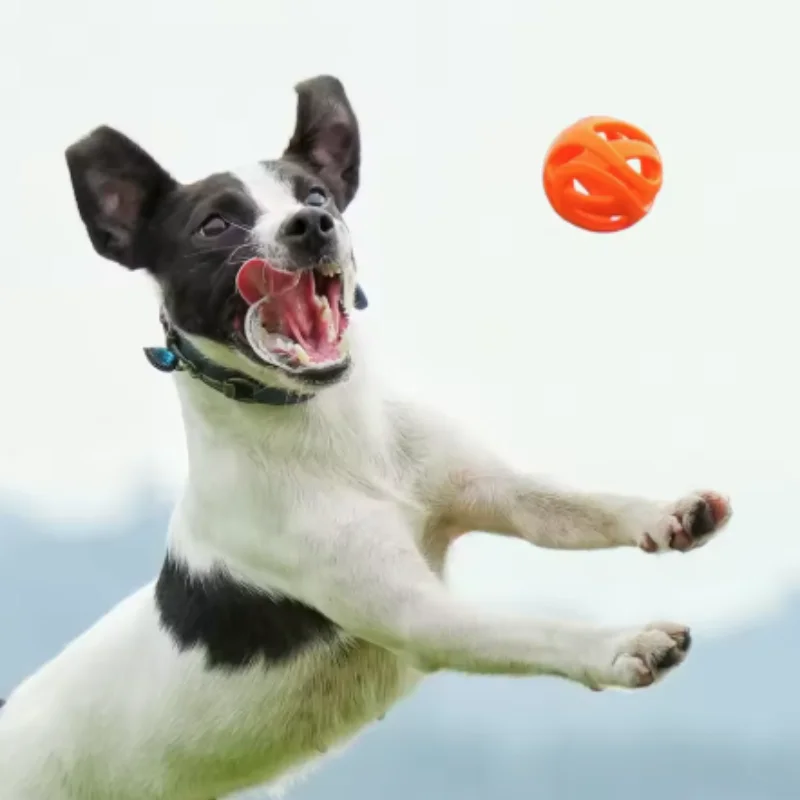 Pelota juguete elástica para perros, morder y limpiar dientes - imagen 3
