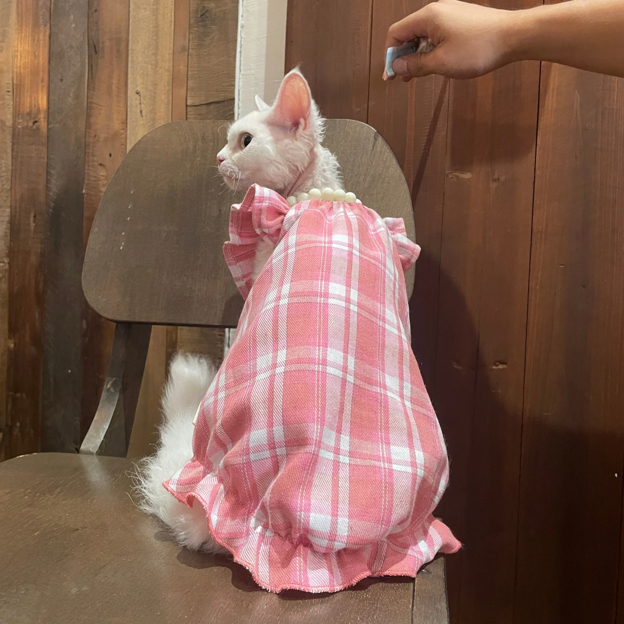 Traje Princesa a Cuadros Rosa para Gatos Devon Rex, Sphynx y Perros Pequeños con Diadema