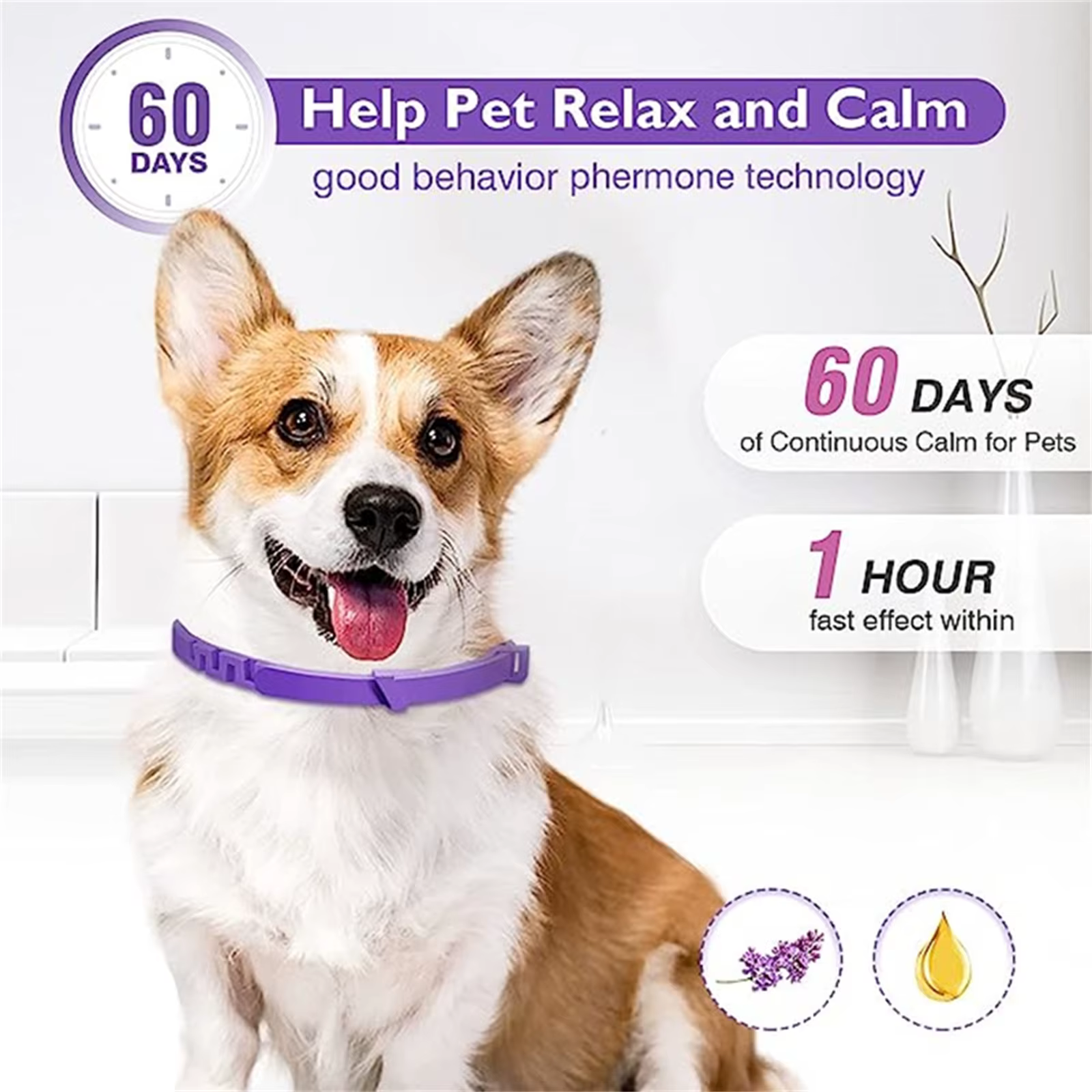 Collar calmante para perros y cachorros – Reduce la ansiedad - imagen 4