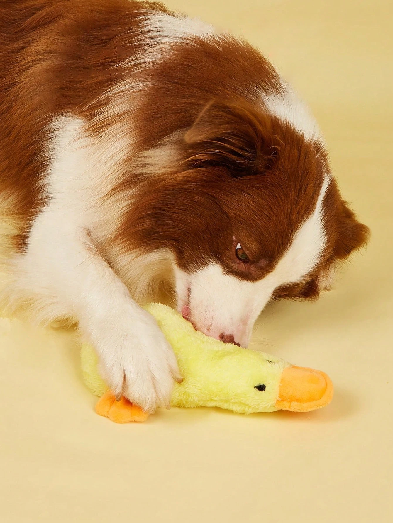 Pato amarillo de peluche chirriante para perros