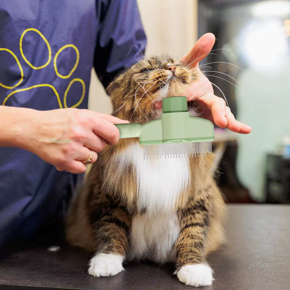 Aplicación del peine en gato de pelo largo
