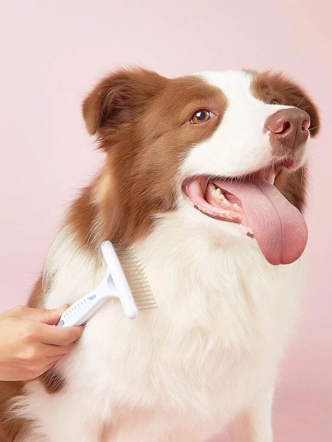 Mango ergonómico del rastrillo para mascotas