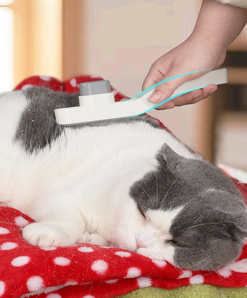 Suministros para mascotas peine autolimpiante