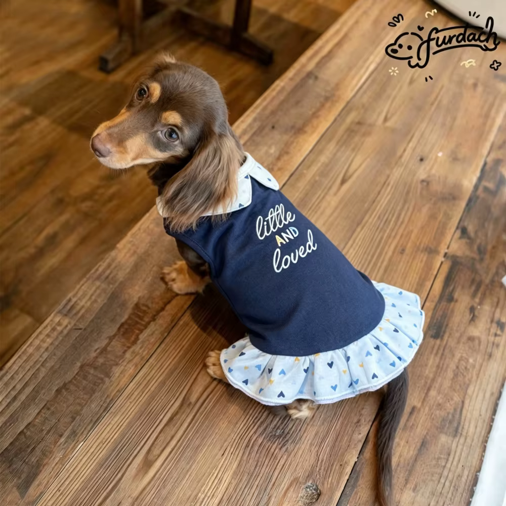 Vestido de algodón para perro salchicha con cuello y falda azul - imagen 2