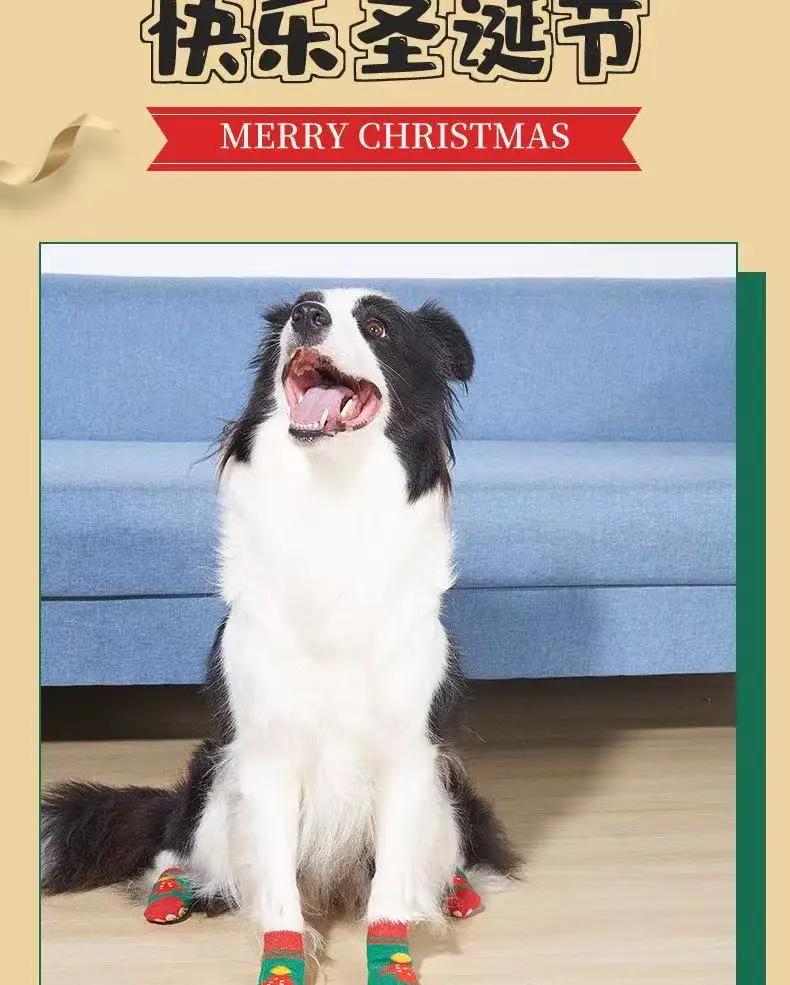 Perrito con medias navideñas