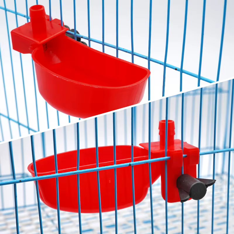 bebederos plásticos para pollos y codornices