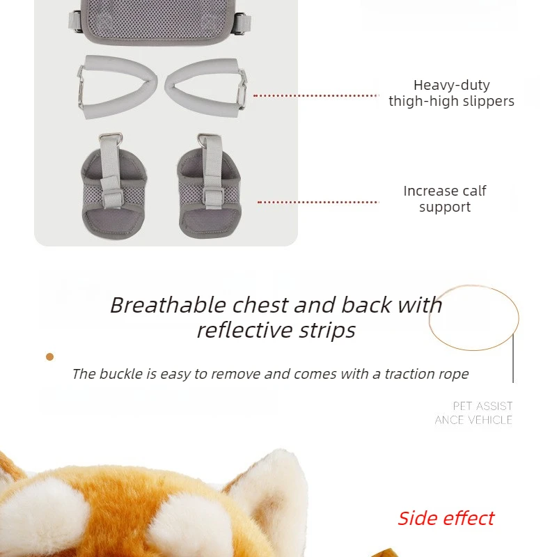 Silla de ruedas para gatos desplazándose