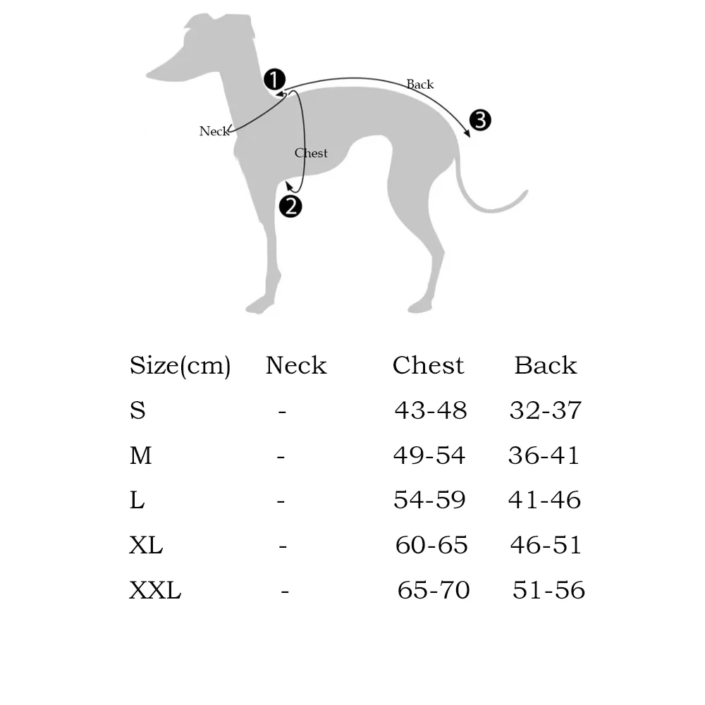 Pantalones vaqueros ajustables para perros – Moda primavera Galgo Italiano Whippet - imagen 5