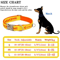 Collar con placa de identificación para perros, grabado a medida