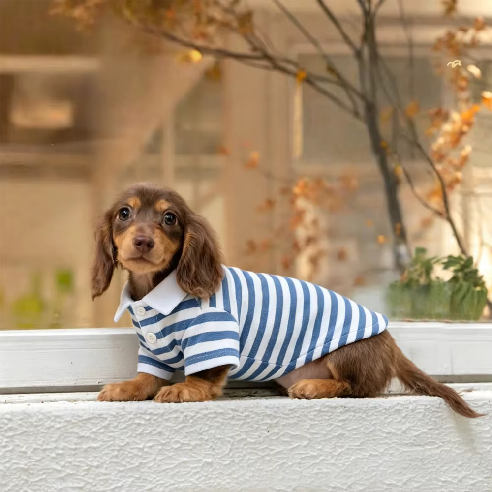 Polo a rayas de algodón suave para perros salchicha mini primavera - imagen 3