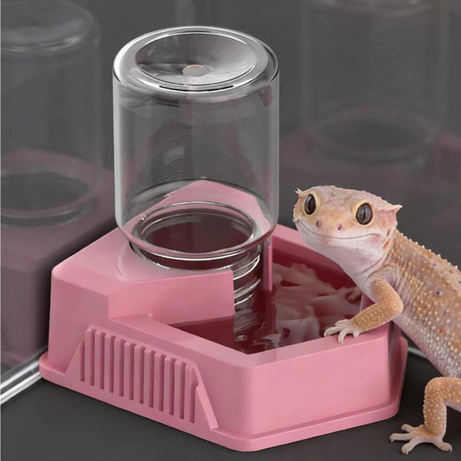 Bebedero automático para reptiles, recipiente resistente - imagen 2