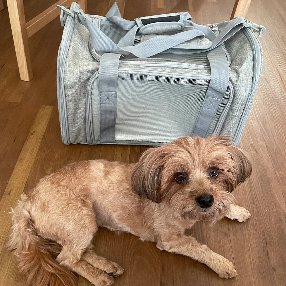 Bolsa de transporte transpirable para gatos y perros mini, aerolíneas - imagen 2
