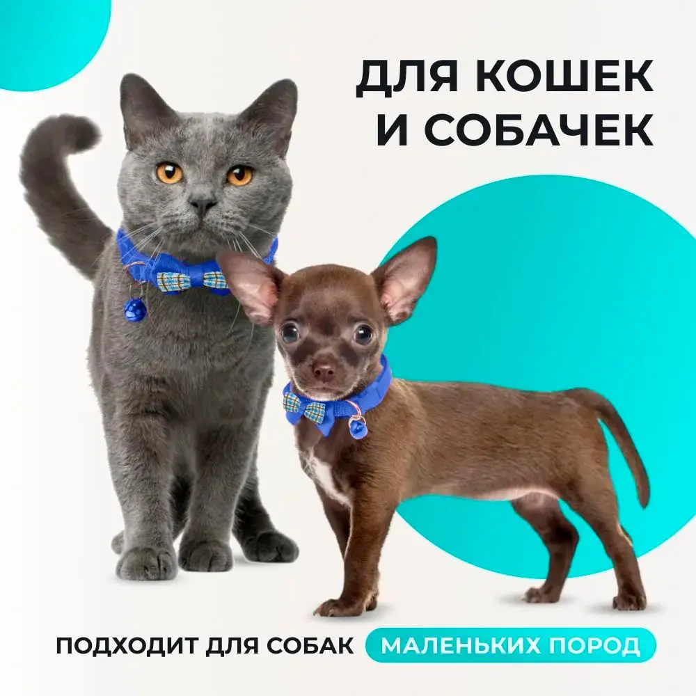 Collar ajustable con lazo decorativo para mascotas