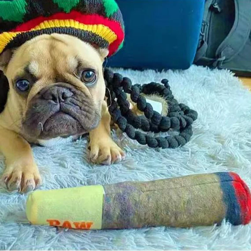 Lavado sencillo de juguete