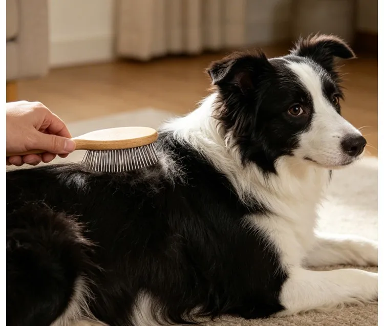 Cepillado con masaje para perros
