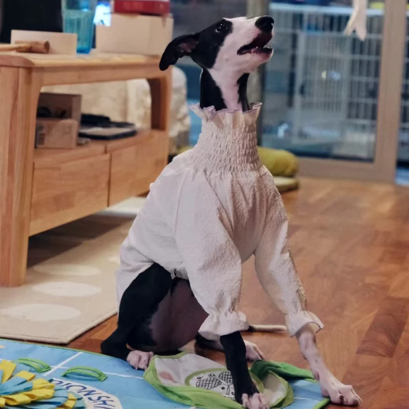 Guía de medición en perro
