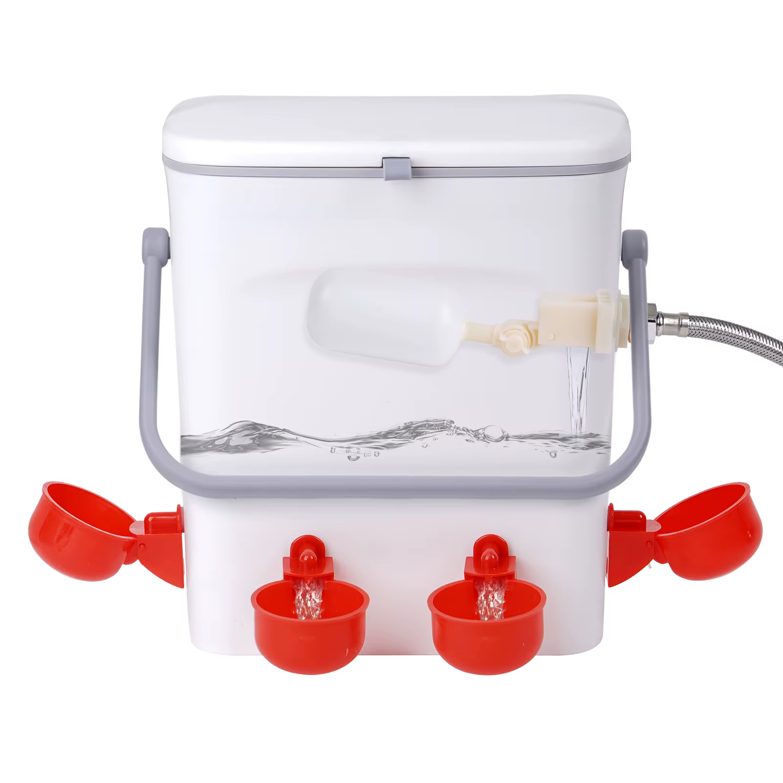 Kit alimentación y bebida para aves de corral – Cubo, cuencos, bola y tubo - imagen 3