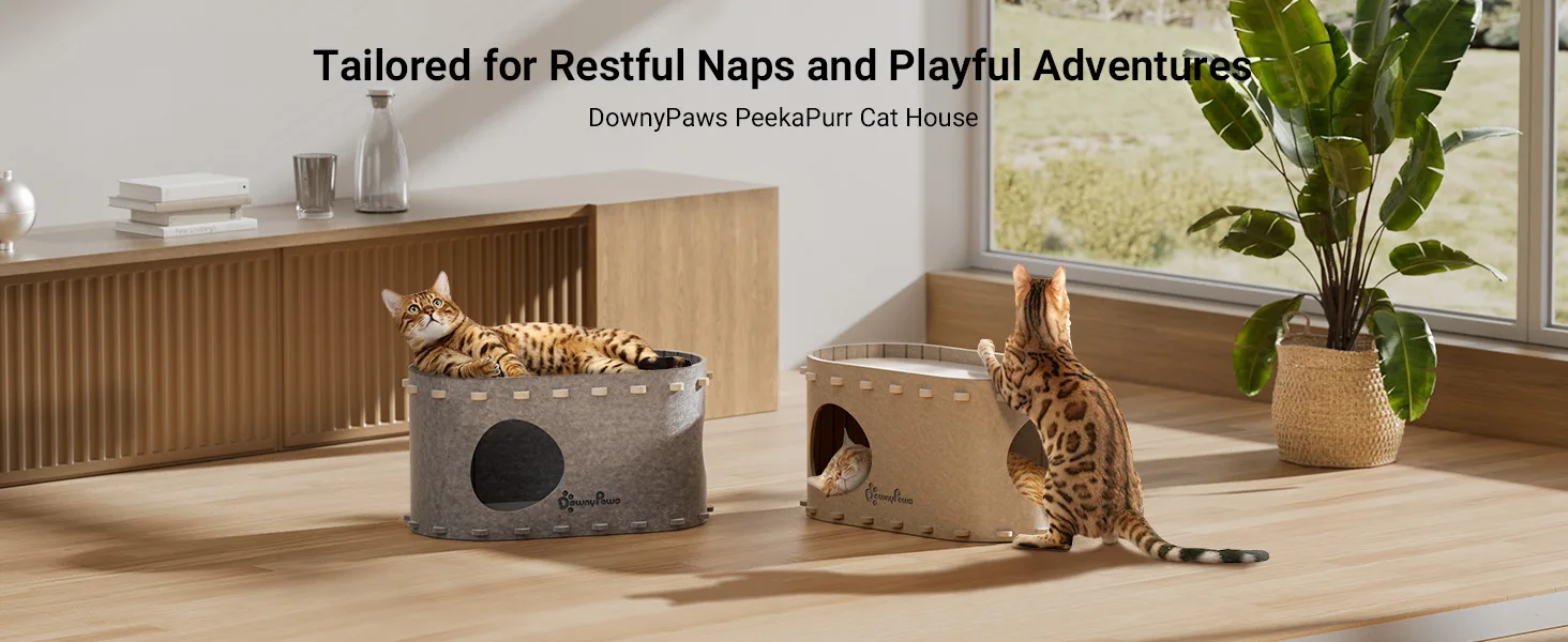Casa para gatos en interior, diseño gris claro