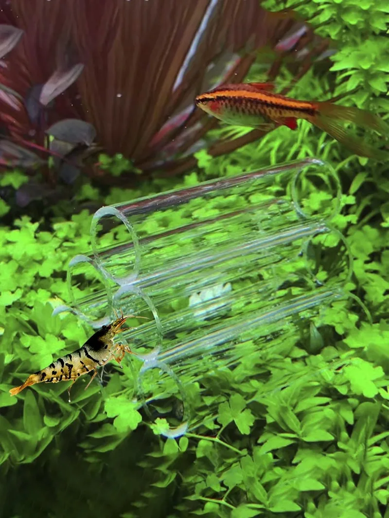 Escondite de acrílico para acuario
