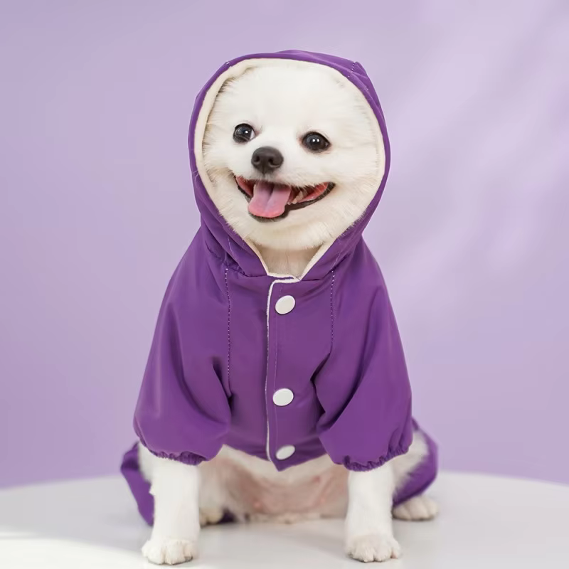 Ajuste de la chaqueta impermeable en perro