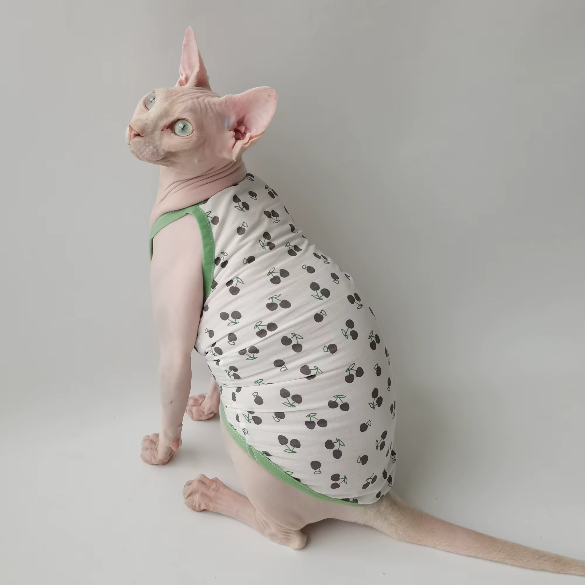 Camiseta de algodón para gatos Sphynx sin pelo con estampado de cerezas - imagen 4