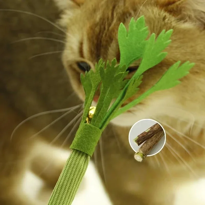 Juguete de catnip para gatos vista frontal