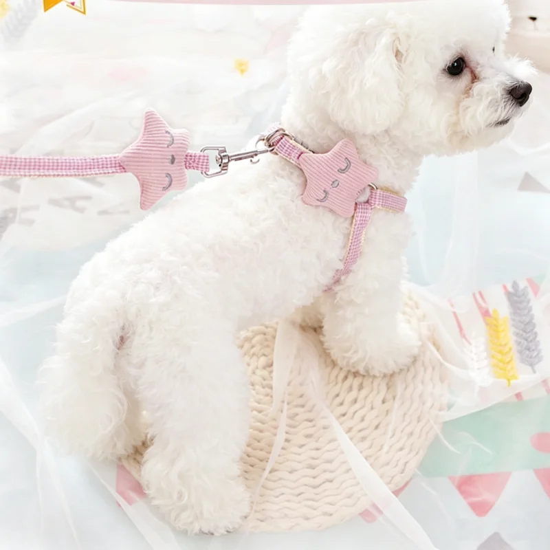 Conjunto arnés y correa transpirable para perro y gato de paseo - imagen 4