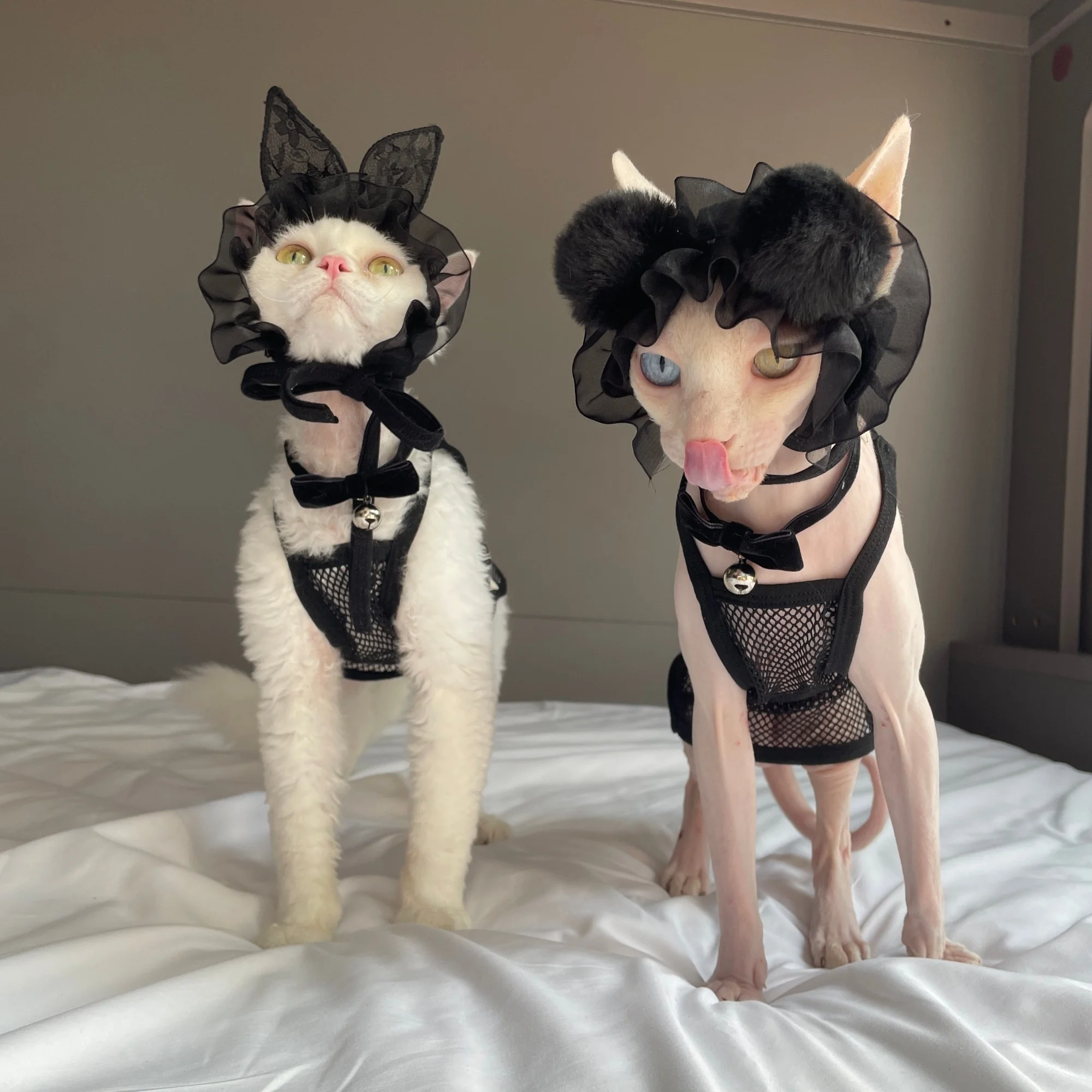 Disfraz de gato salvaje sexy para cosplay Sphynx, camisola de malla - imagen 2