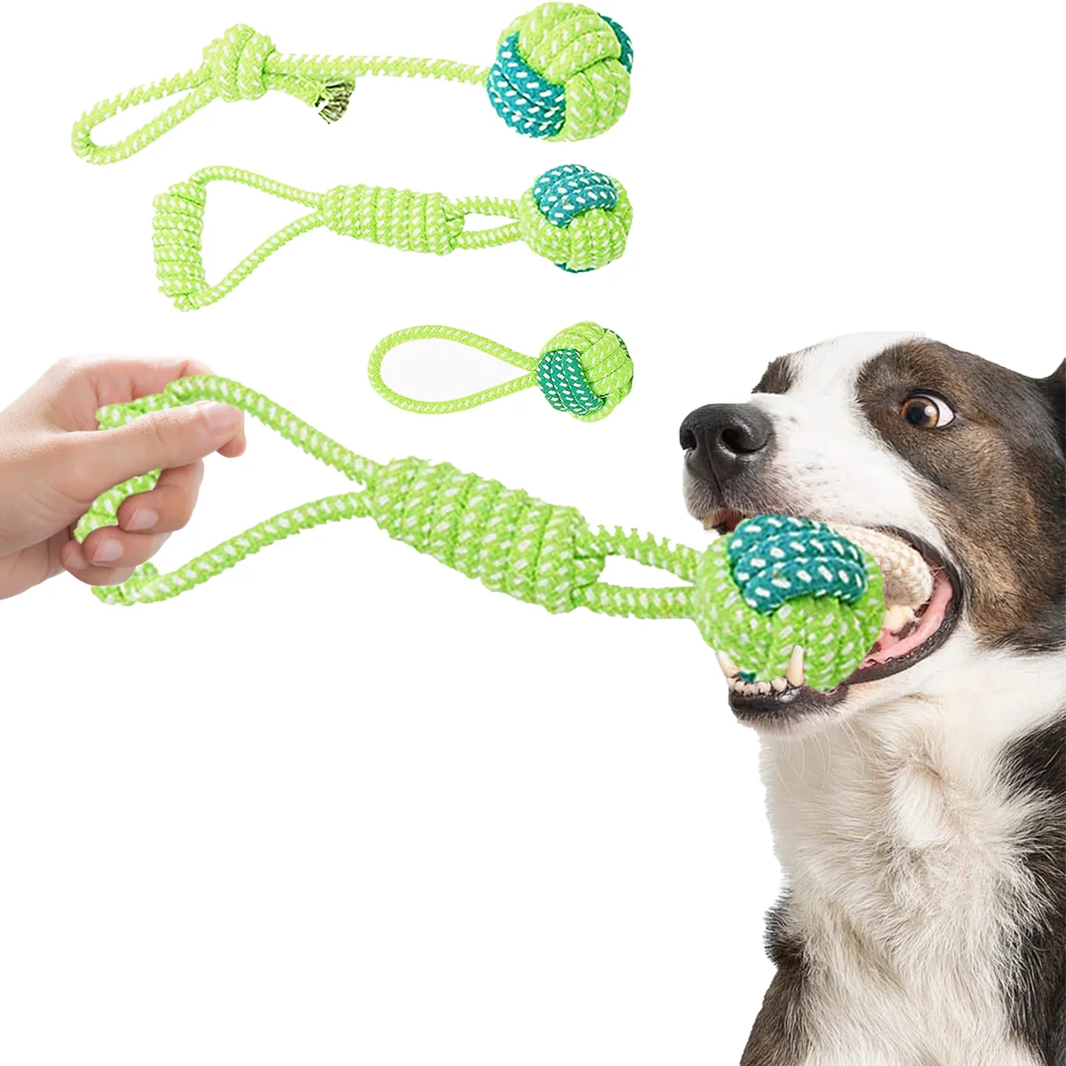 Juguete de cuerda verde para perro