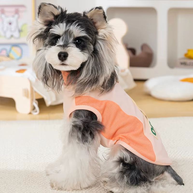 Chaleco refrescante de verano para perros y gatos – Chihuahua - imagen 5