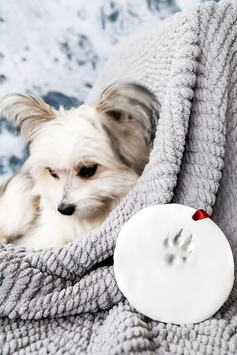 Molde redondo con arcilla y huella de pata de perro recién impresa