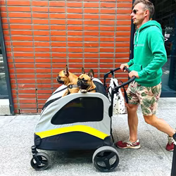 Carrito de paseo plegable para perros con 4 ruedas, viajes