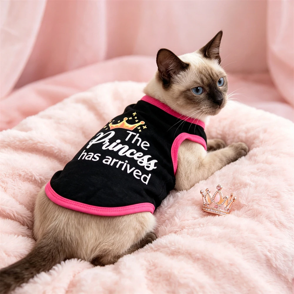 Dueña disfrutando con su gatito vestido con el chaleco en un ambiente familiar y feliz