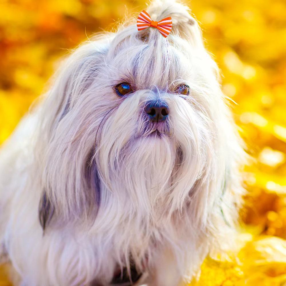 Lazos para el pelo de perro hechos a mano – accesorios cabello - imagen 5