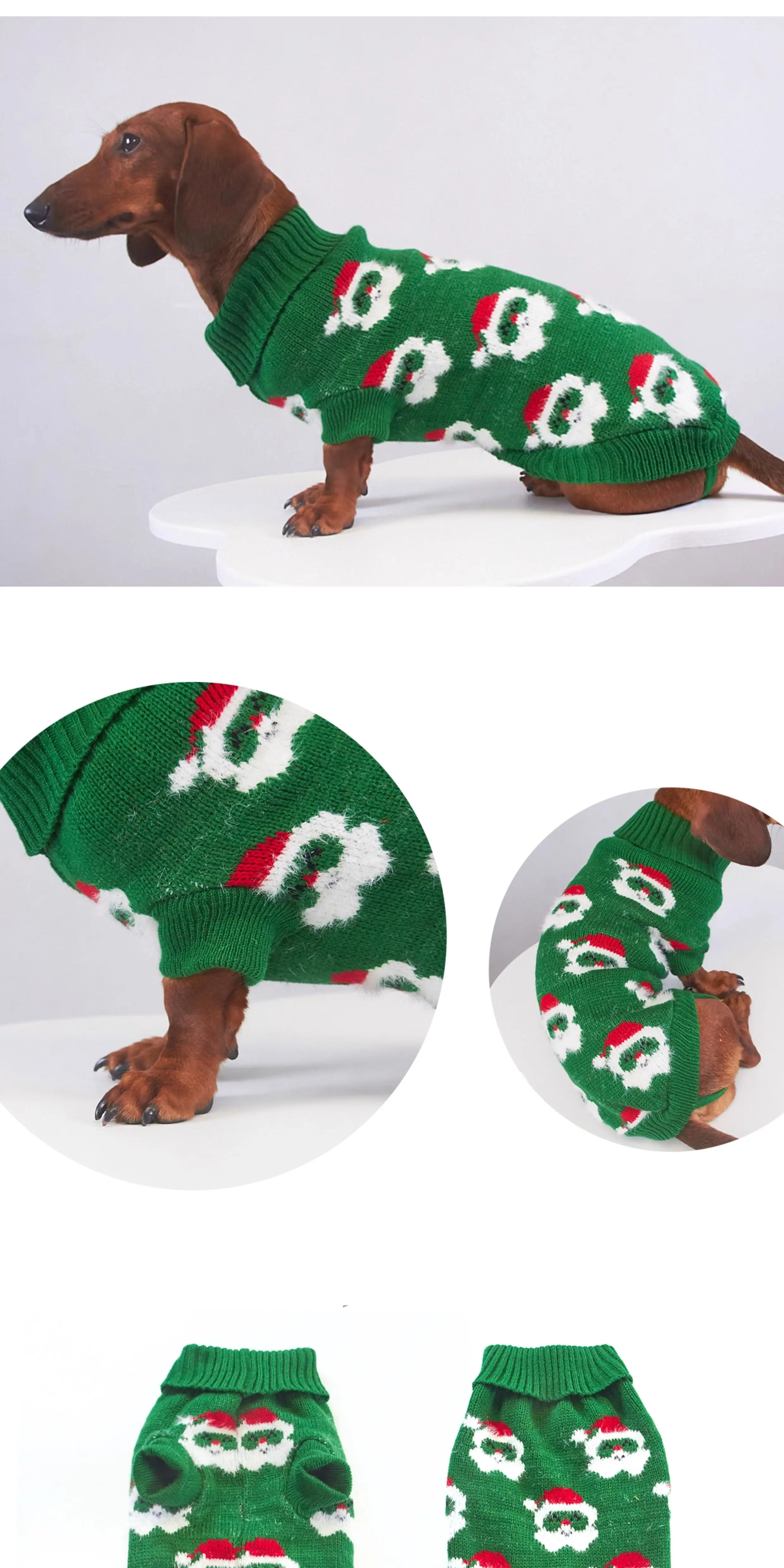 Perro salchicha con abrigo verde ABQP