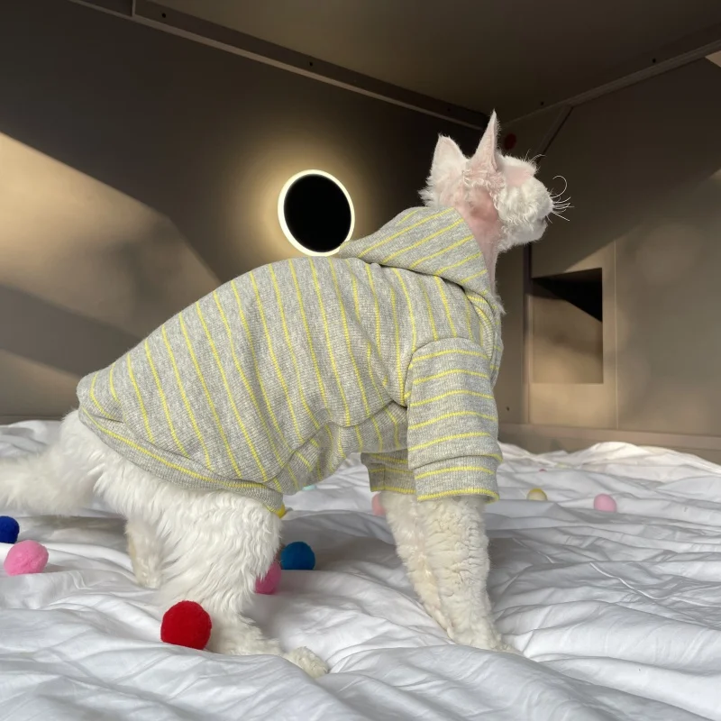 Gato con capucha verde en acción
