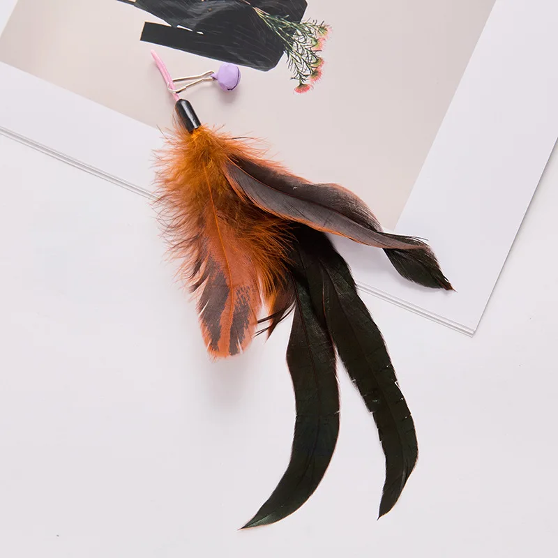 Variedad de cabezas de plumas